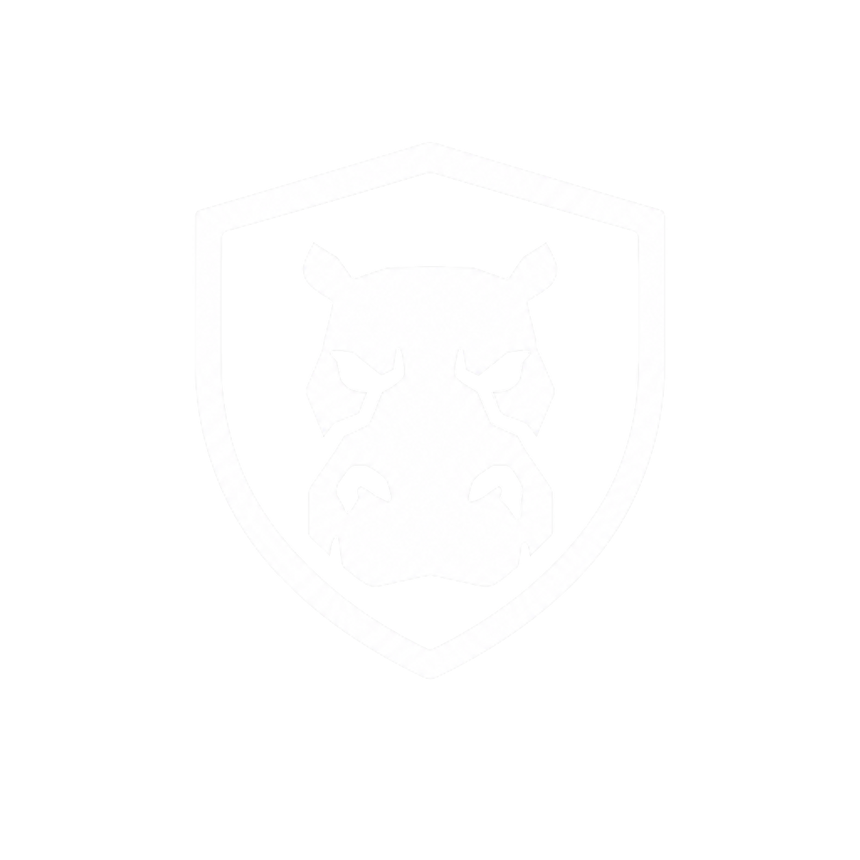 IRONFEL logo